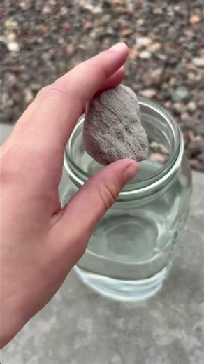 This rock floats in water 💧😳 (fun facts in description) #geologyrocks #rockhounding