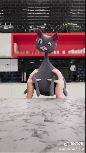 Put me down hoooman! #catsoftiktok #cat #noodle #foryoupage #fyp #cats #dancingcat #kitty #noodleandbun