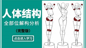 【人体结构绘画教程】零基础怎么自学人体结构，萌新最需要的人体教学（人体教程合集）从人体比例到动态，一套适合99%萌新的人体教程！别再盲目自学了！结构/比例/动态