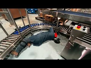 Frozen Food Filling & Packaging Line | Integrated Conveyor System with Manual Pack Station