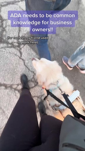 Understanding ADA Laws for Business Owners