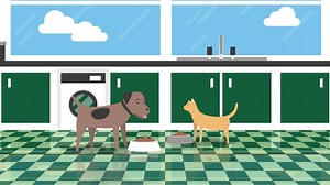 Our foods have been prepared to the highest standards to give your pets the very best in nutrition. 𝐖𝐚𝐭𝐜𝐡 𝐭𝐡𝐞 𝐯𝐢𝐝𝐞𝐨 below to see how we make our foods. 𝙏𝙝𝙚 𝙗𝙚𝙣𝙚𝙛𝙞𝙩𝙨 𝙤𝙛 𝙁𝙧𝙚𝙨𝙝𝙩𝙧𝙪𝙨𝙞𝙤𝙣 ✅ Uses fresh Human grade quality ingredients ✅ More digestible ✅ Food is cooked at lower temperatures to provide a fuller flavour and keeping all the nutrients in the food ✅ Protected protein 🐶🐱Leaving you with one very happy pet. Try our range of cat and dog foods today, or con