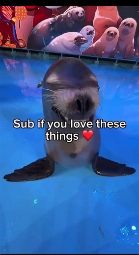 Please become part of the sea lion army