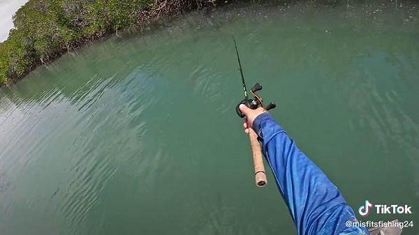 #fyp #fishtok #fishing #mangrovejack #fishingaustralia #whitsundays #northqueensland nothing like finding old footage!
