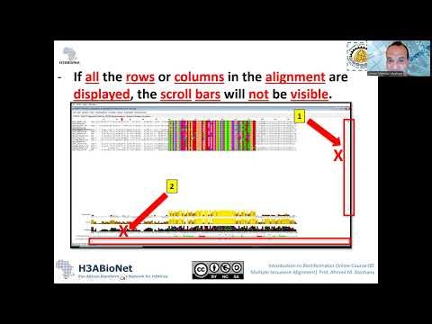 S2L3 Navigation in Jalview 2025