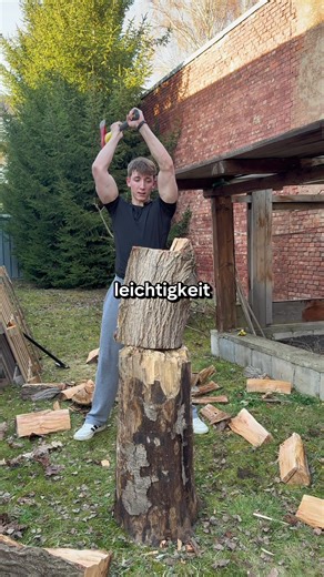 Welche Axt ist besser für das Hacken von Holz?