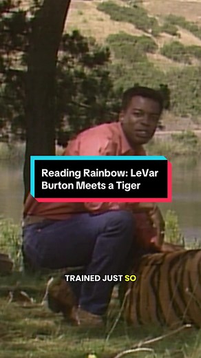 LeVar Burton Celebrates International Cat Day