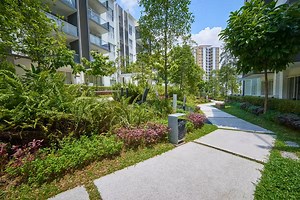 This is how small green spaces can help keep cities cool during heatwaves