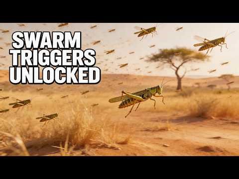 The Hidden Science of Locust Plagues: Why They Swarm and Migrate | Animal World