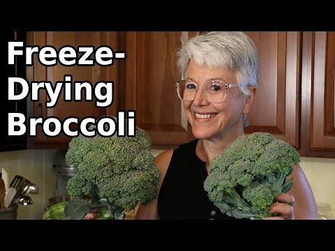 Freeze Drying Broccoli for Two Different Uses - As Ingredient in Recipes and as a Powder