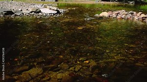 The Moorman River in Albemarle County Virginia displays beautiful fall, autumn colors with clear, clean water, colorful leaves flowing through the man made dam. Moss & river stone are seen throughout.