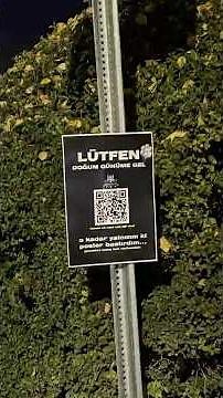I POSTED QR CODES ALL OVER THE CITY!