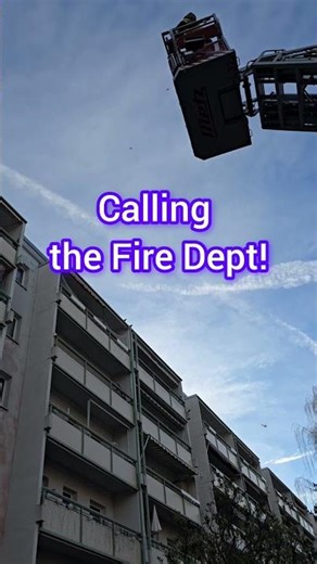 Cat vs. 5th Floor Height! ​#catrescue #firefighter #scary #rebelcat