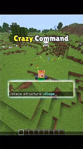 Only PRO Players Know These Commands 💀#minecraft