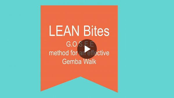 Effective Gemba Walk Method: G.O.S.E.E for Improvement Culture | Paul Deane posted on the topic | LinkedIn