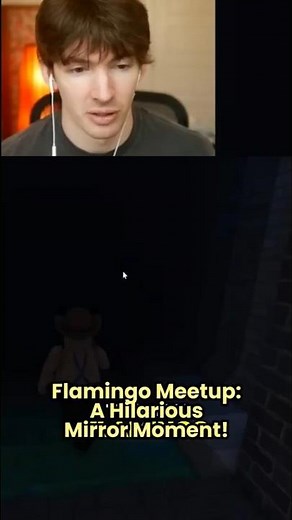 Flamingo Meetup: A Hilarious Mirror Moment!