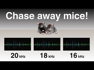 Chase away mice with sounds | High-frequency sounds disliked by mice | 4 Hours