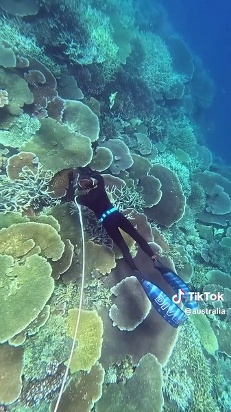 Celebrating World Oceans Day at the Great Barrier Reef