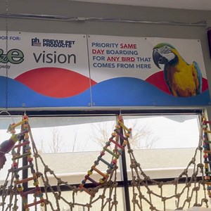 Fun details…it’s what we’ve started to become known for. We’re added some adorable parrots to our ceiling to increase our experience level up a notch for visitors. | Exotic Pet Birds, Inc.