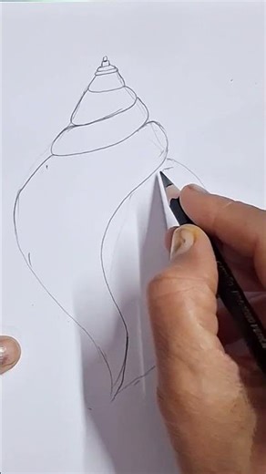 Seashell Sketch Step by Step | Beginner Friendly Drawing #shorts