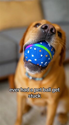 The Ultimate Toy for Your Pet—Check Out How This Ball Works!#PetEntertainment#DogToys#PetBall