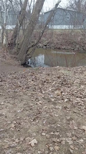 Hello friends! Just a chill feeding