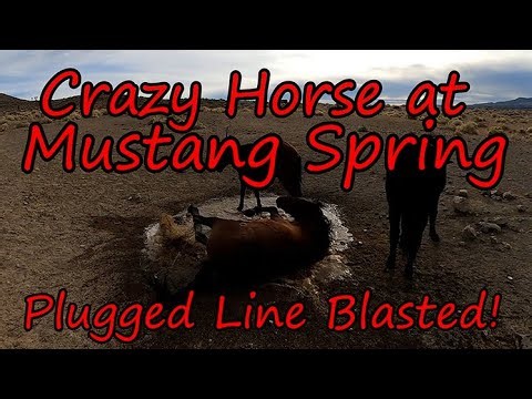 Crazy Horse Mustang Spring Plugged and Blown Out With Air Compressor Do Good Feel Good Helping Out.