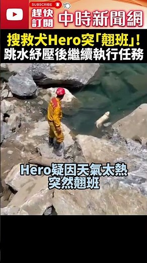 【0403地震DAY9】超萌！搜救犬Hero執行任務突「翹班」跳水紓壓 ‪@ChinaTimes‬ #shorts #搜救犬 #Hero #玩水 #砂卡礑 #搜救隊 #花蓮 #地震 #強震