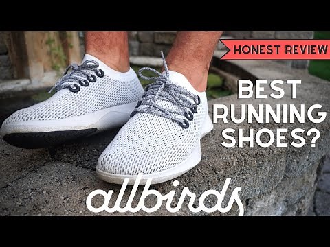 Allbirds Tree Dashers | Honest Review