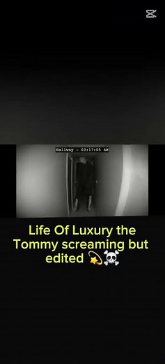 Life Of Luxury Ahh The Tommy Screaming Edited X The Bird Screaming Meme ✌️💔💀💫