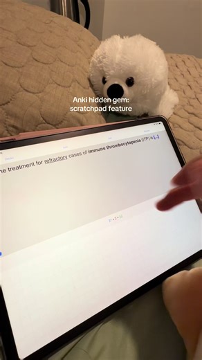 Discover Anki's Hidden Scratchpad Feature for iPad