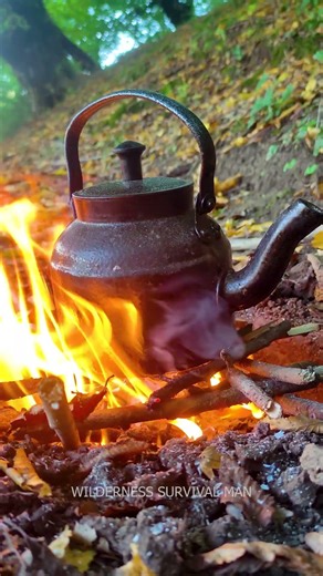 #wildernesssurvival BUSHCRAFT TEA IN WILDERNESS #bushcraft #outdoortea