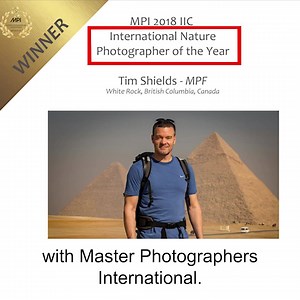 3.7K views · 106 reactions | Create stunning, magazine quality, fine...