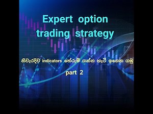 Export Option Trading Strategy 2
