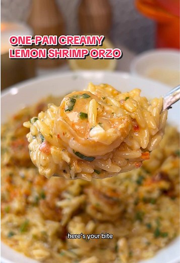 One-Pan Creamy Lemon Orzo with Shrimp Recipe