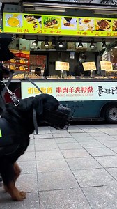 Police Dogs 🥰🥰 fact Follow for more ❤️🥰😍😍🥰😍.............. . . . . 🎥 tt . . . . #animals #nature #animal #pets #cute #wildlife #love #pet #cats #dogs #dog #photography #cat #instagram #naturephotography #of #photooftheday #dogsofinstagram #birds #catsofinstagram #instagood #petstagram #art #wildlifephotography #animallovers #puppy #petsofinstagram #animalphotography #animalsofinstagram | animals wordl