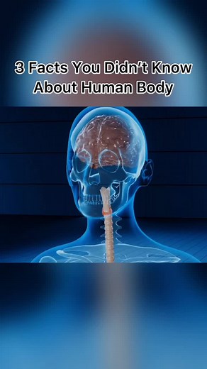 3 facts about human body you probably don’t know. It is just incredible to see how our bodies work. #science #biology #education #human