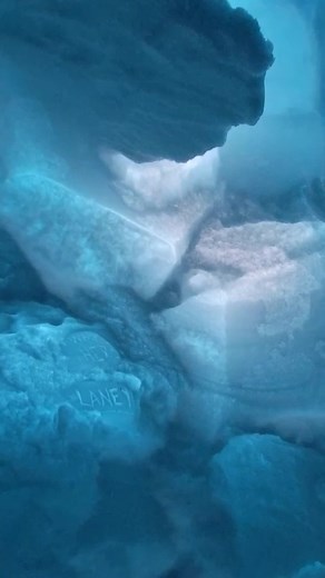 Watch this avalanche rescue dog pass his test!🐶 #RescueDog #Avalanche | The Pet Collective