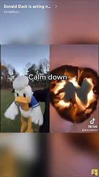 Donaldducc devil screams compilation 3 with Mickey Mouse (IM BACK!!!! READ DESC) (MOST VIEWED VIDEO)