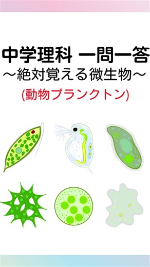 中学理科 微生物・動物プランクトンの覚え方