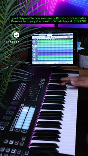 iPad Disponibles con más de 2000 Samples y más de 100 Ritmos Profesionales, a un Precio de Oferta!✅ 🛵 Envío gratis a todo el país! ✅ Pago contra entrega (Pagas al recibir tu iPad) ✅ WhatsApp al: 31192782 Contamos con librerías de: ✅Yamaha PSR 550 ✅Korg Triton Studio ✅Korg N364 ✅Korg 01W ✅Korg M1 ✅Korg D50 ✅Pianos para centro, pianos de adoración y Worship Pads. ✅Instrumentos Reales ✅Sonidos de Jacobo Reynoso, Banda Transfiguración, etc. ✅Korg PA1000 ✅Korg PA700 ✅Yamaha PSR900 ✅Korg Kronos ✅Korg