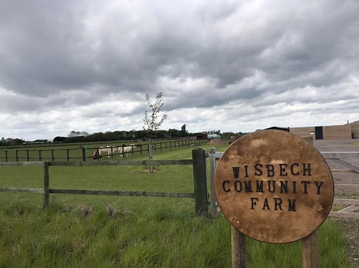Wisbech Therapeutic Farm- People and Animals CIC - How Are You Fenland?