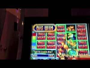 WMS Jungle Wild 2 | Free Spin Big Win | Mail4Albert