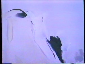 VHS Tape - 1988 - KELO - Knot's Landing, KDLT - Star Search Semifinals, KELO - Dallas, Falcon Crest, KDLT - Star Search, News, Tonight Show with Linda Ronstadt