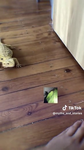 Caption Challenge Results: Fun and Surprises