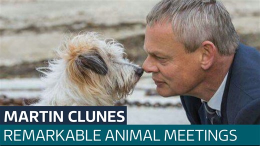 Martin Clunes reveals 'Meetings With Remarkable Animals' in new book  - Latest From ITV News