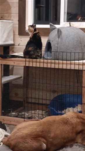 1.6K views · 47 reactions | June bug | Teresa Denby | Facebook