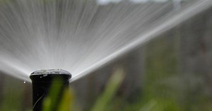 Your Complete Lawn Watering Guide for Australian Backyards