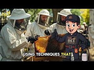 Fast Wasp Nest Removal | Mr. Bee Removal