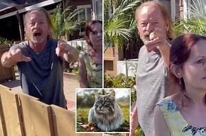 I’m labeled a ‘cat pervert’ because my neighbor’s pet prefers my home